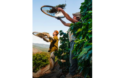 Lavazza ve Sürdürülebilirlik Israrı