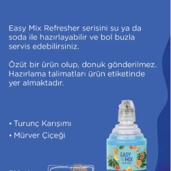 Easy mix Ocean 700 Ml Easy mix Ocean 700 Ml