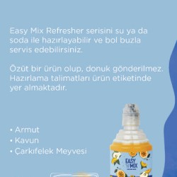 Easy Mix MR. Q 700 ml Easy Mix MR. Q 700 ml