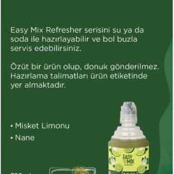 Easy mix X Cool Lime 700 ml Easy mix X Cool Lime 700 ml
