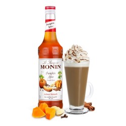 Monin Balkabağı Şurubu 700 ML