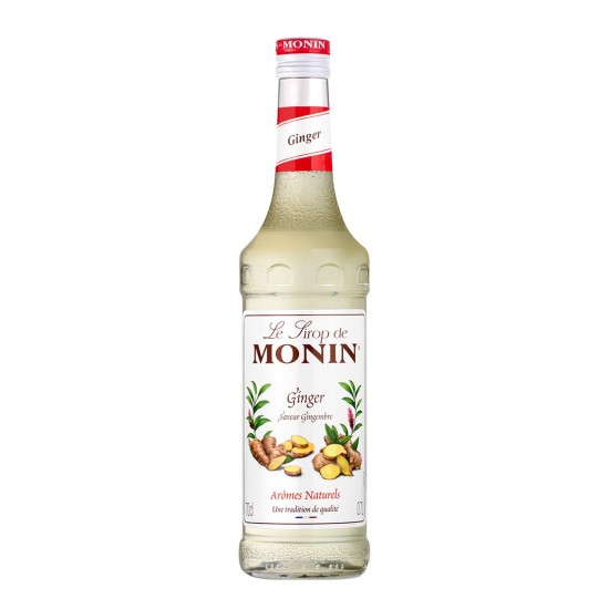 Monin Ginger Zencefil Şurup 700 ML