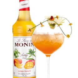 Monin Mango Şurubu 700 Ml